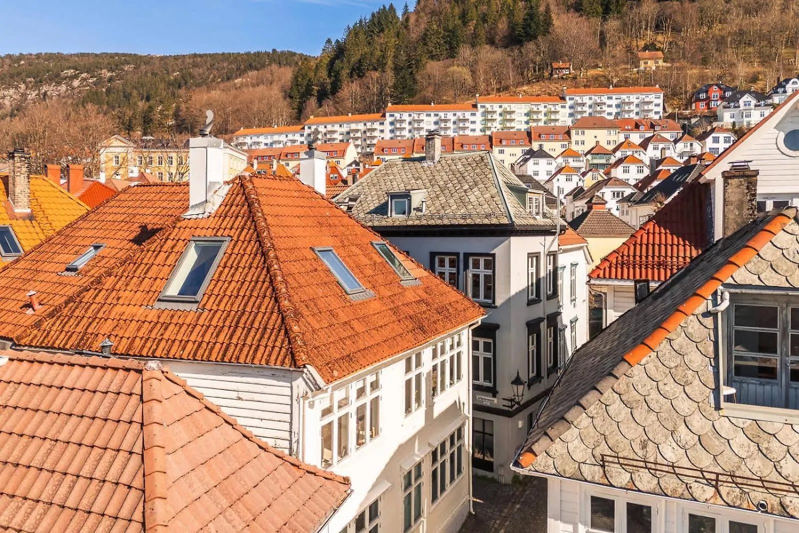 Dinbnb Apartments L 300 To Bryggen L Bergen Style House Revamped 2023